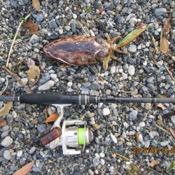 小さい・・・(-_-;)